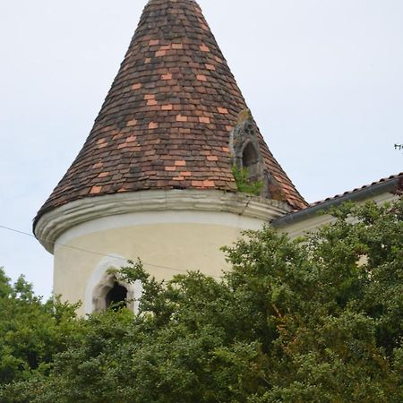 Chambres d'Hôtes du Chateau de Saint Sulpice La Sauvetat-sur-Lède Extérieur photo