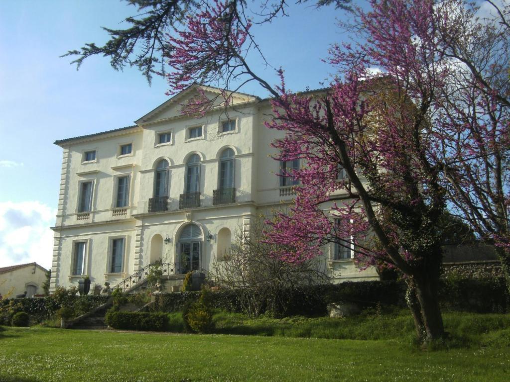 Chambres d'Hôtes du Chateau de Saint Sulpice La Sauvetat-sur-Lède Extérieur photo